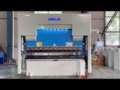 Freno de presión CNC eléctrico-servo híbrido
